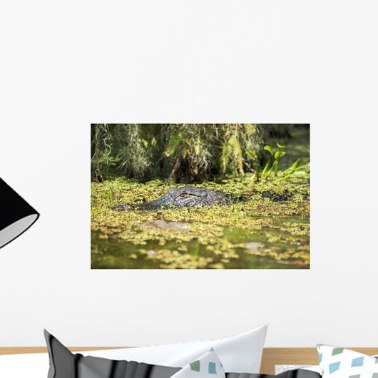 USA, Louisiana, Alligator in swamps Wall Mural