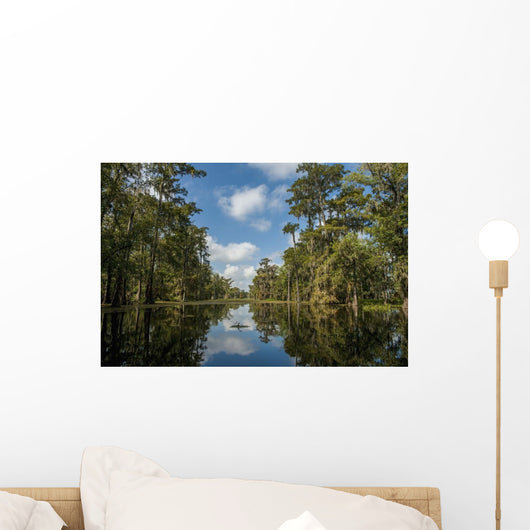 USA, Louisiana, Swamp landscape Wall Mural