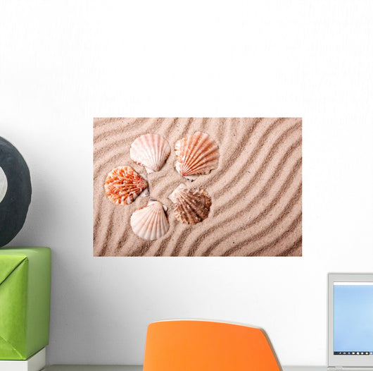 Shells Sand