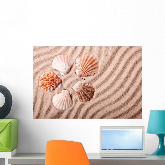 Shells Sand