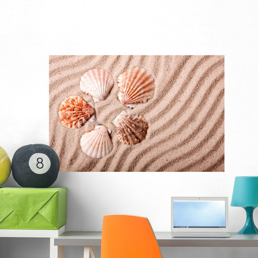 Shells Sand