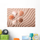 Shells Sand