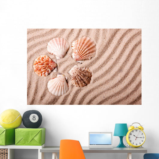 Shells Sand