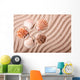Shells Sand