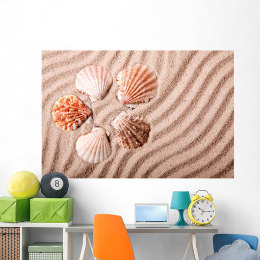 Shells Sand