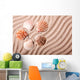 Shells Sand