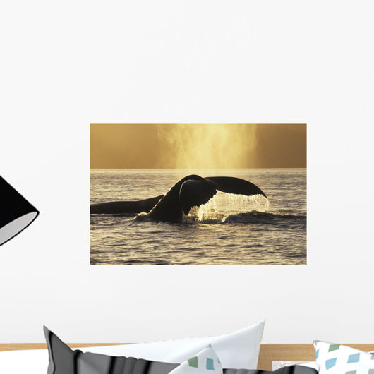 Two Humpback Whales Backlit In Izhut Bay, Southwest Alaska, Summer Wall Mural