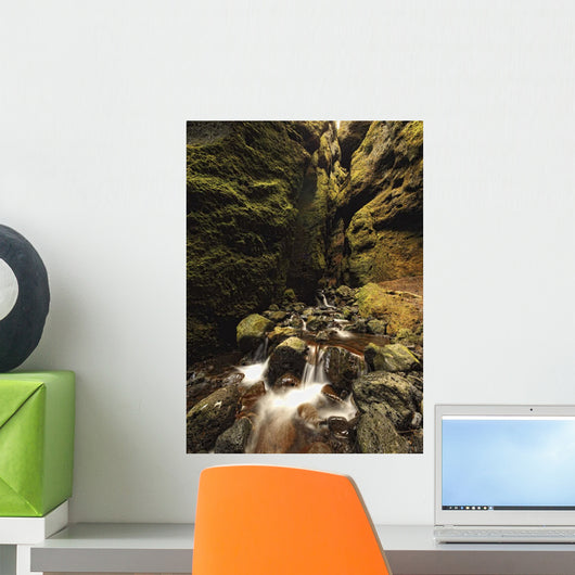 A stream runs through a slot canyon Wall Mural