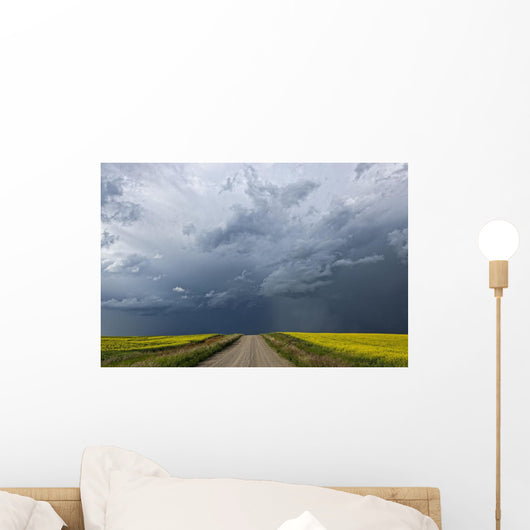 Storm clouds gather over a sunlit canola field and road Wall Mural