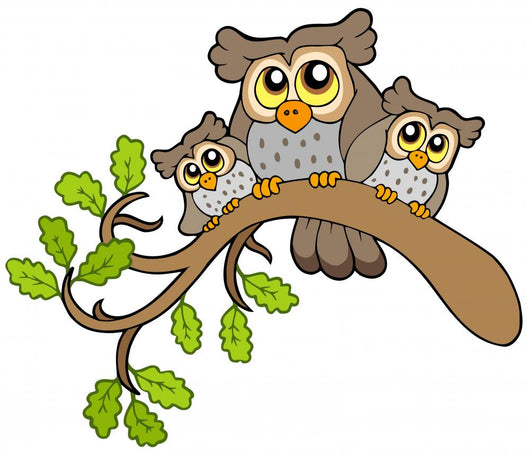 Three Cute Owls on Branch Wall Decal