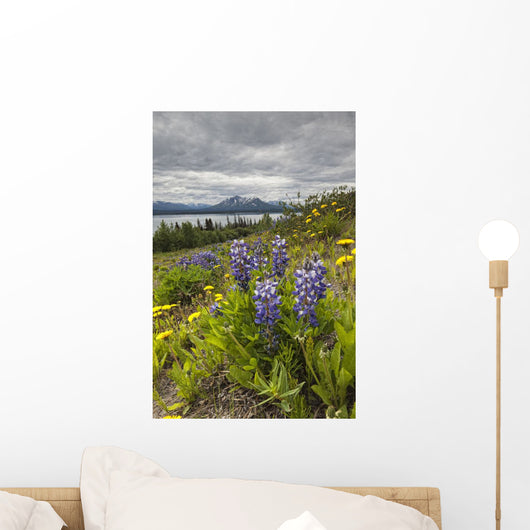 Wildflowers on the roadside along the shores of Dezadeash Lake Wall Mural