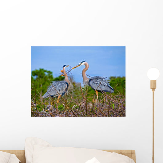 Great Blue Herons Nest Wall Mural