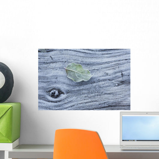Frost covered log and leaf along mackenzie beach at sunrise;Tofino Wall Mural