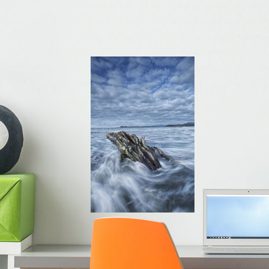 The tide coming in and flowing around a sunken piece of driftwood Wall Mural