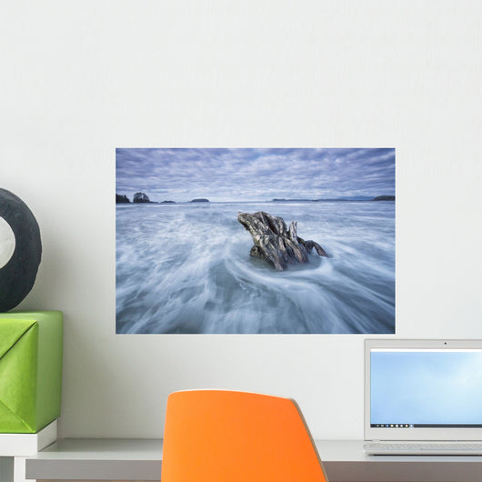 The tide coming in and flowing around a sunken piece of driftwood Wall Mural