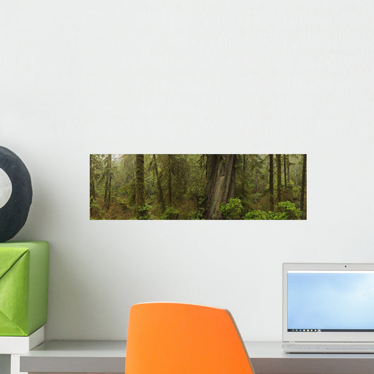 The Rainforest Wall Mural