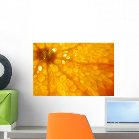 Orange Wall Mural