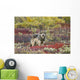 Gray Wolf Walking Along Tundra Ridge Fall, Dwarf Birch Wall Mural
