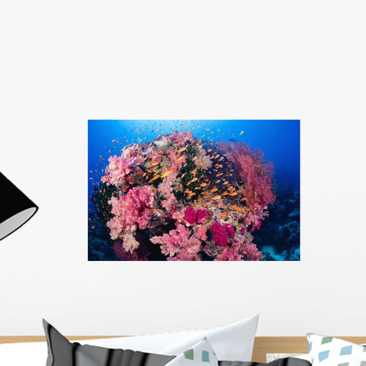 Fiji, Alconarian And Gorgonian Coral With Schooling Anthias Wall Mural
