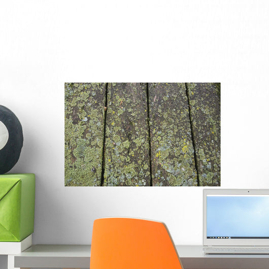 Close up of the wooden planks Wall Mural