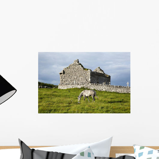 A horse grazing Wall Mural
