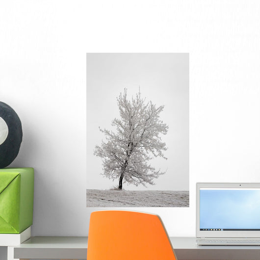 One frosted tree Wall Mural