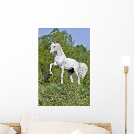 White Horse Hill