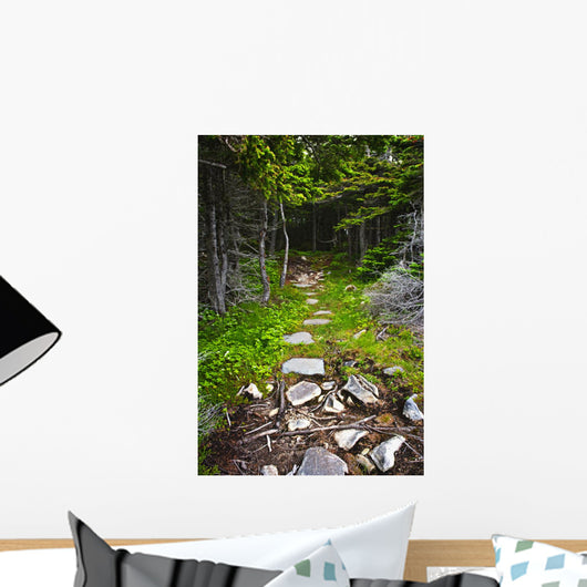 Forest path Wall Mural