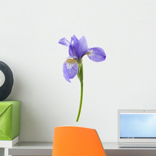 Flower Decals - Iris Wall Decal