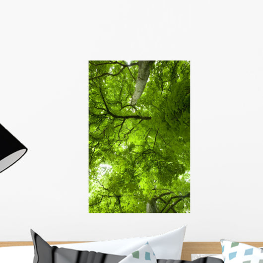 Canopy Wall Mural