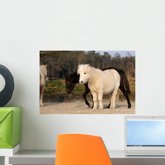 Ponies Wall Mural