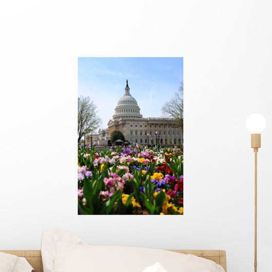 Capitol Building Washington DC Wall Mural