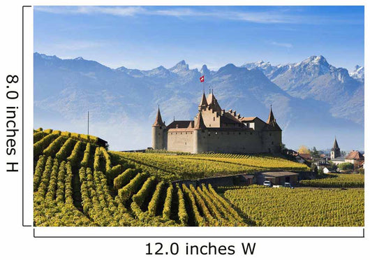 Switzerland, Vineyards and castle Wall Mural