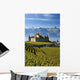 Switzerland, Vineyards and castle Wall Mural