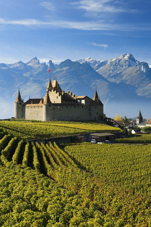 Switzerland, Vineyards and castle Wall Mural