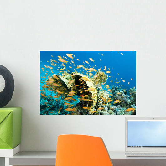 Yellow Coral with Orange