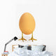 Egg with bird legs;British columbia canada Wall Mural