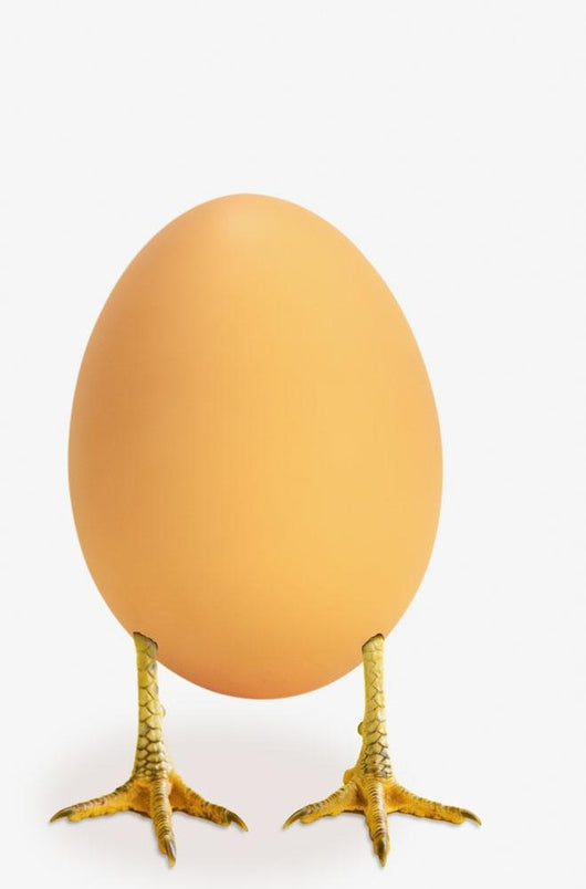 Egg with bird legs;British columbia canada Wall Mural