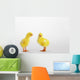 Two yellow baby chicks chirping;British columbia canada Wall Mural
