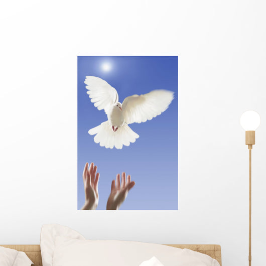 Hands releasing white dove;Vancouver british columbia canada Wall Mural