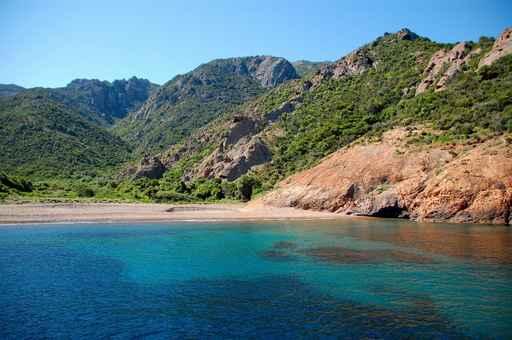 Scandola Wall Decal Design 3