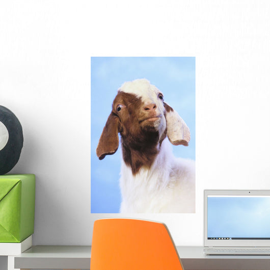 Goat;British columbia canada Wall Mural