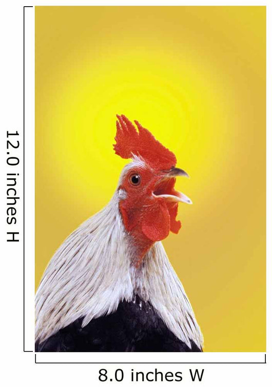 Crowing rooster;British columbia canada Wall Mural