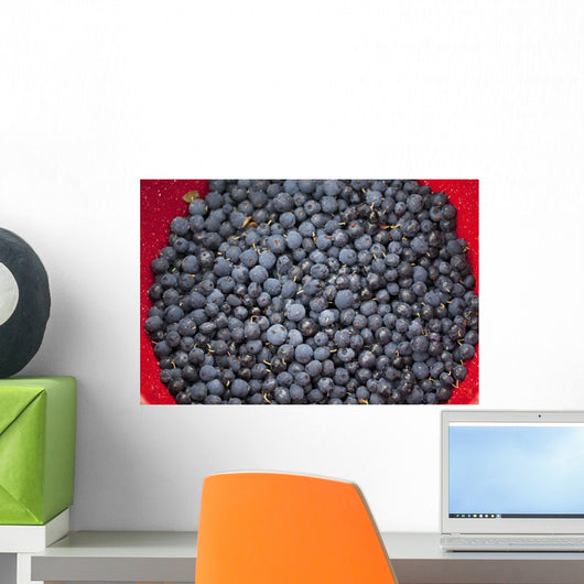 A bowl of blueberries;Alaska united states of america Wall Mural