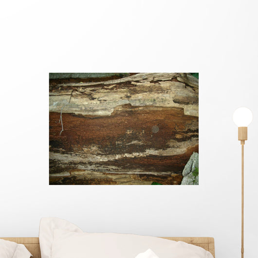 Wall Mural