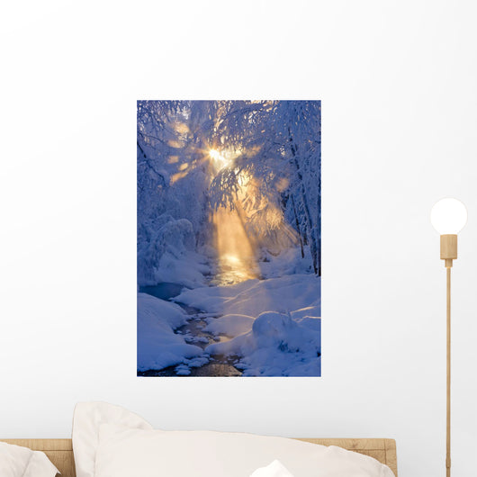 Small Stream Wall Mural