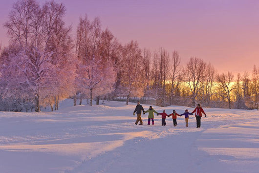 Winter Wall Mural