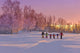Winter Wall Mural