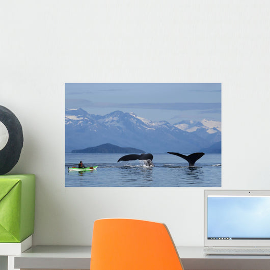 Group Humpback Whales Lift Wall Decal