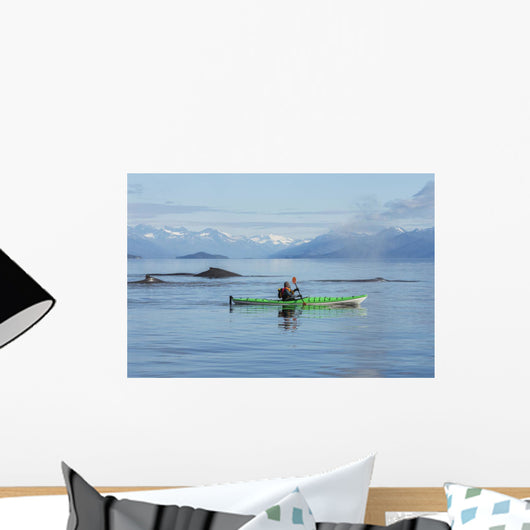 A Sea Kayaker Watches As A Group Of Humpback Whales Surface Wall Mural